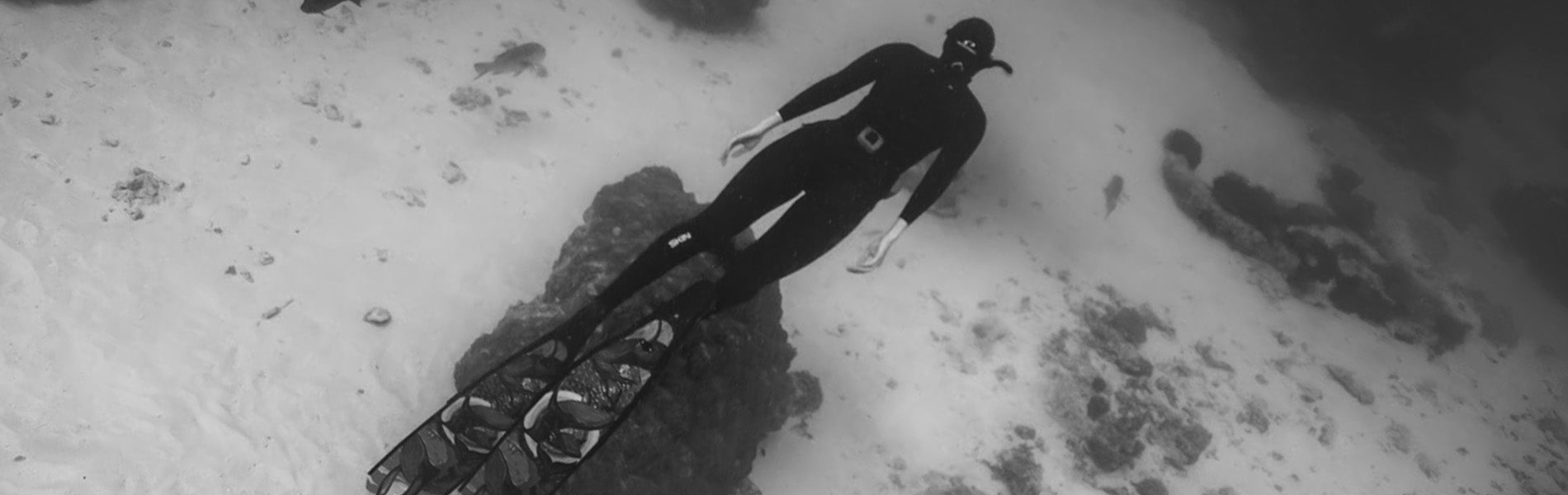 Freediving Gear