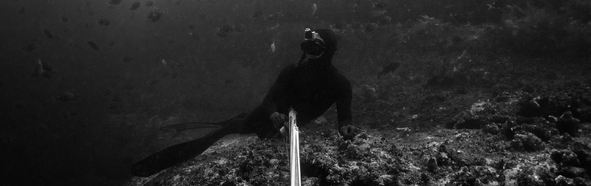 Spearfishing Gear